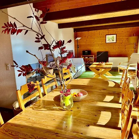 92 Grand Familial 8 Pax Dağ evi Gryon