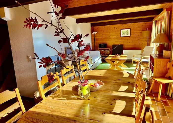 92 Grand Familial 8 Pax Dağ evi Gryon