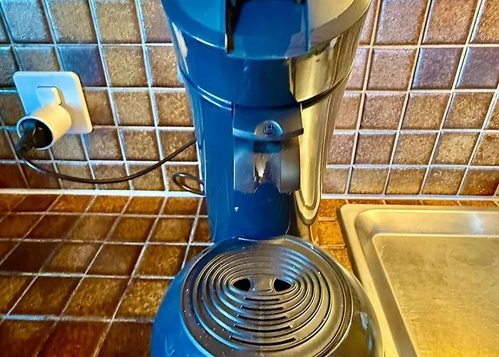 92 Grand Familial 8 Pax Dağ evi Gryon